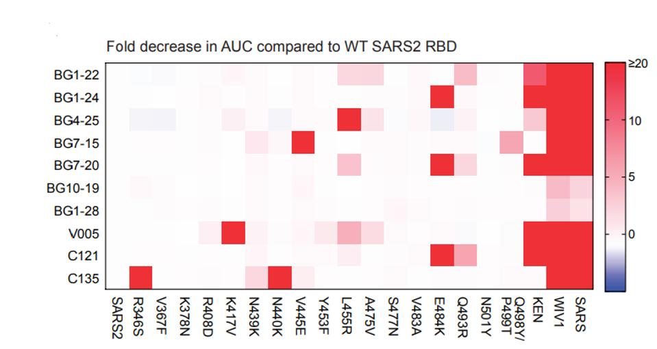 FIGURE 5: Heat map of mutations that reduce neutralizing capabilities of different antibodies.
