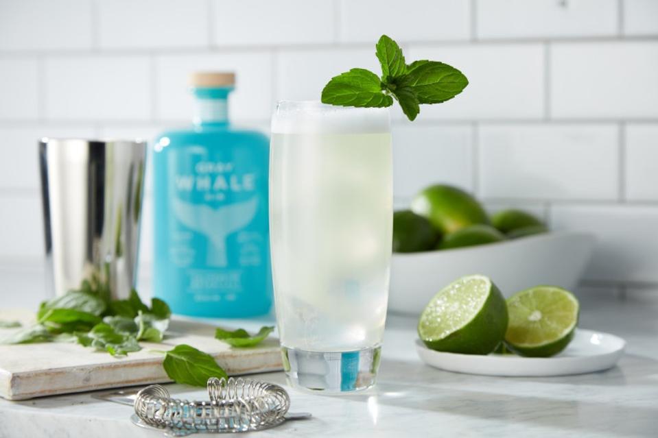 Best Gin Cocktails