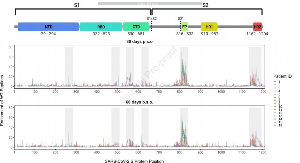FIGURE 2: Major regions of antibody binding
