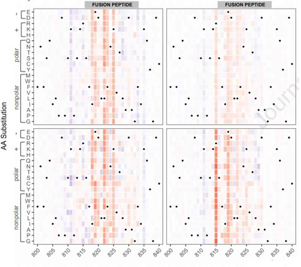 FIGURE 3: Heat map of positional mutations affecting antibody binding