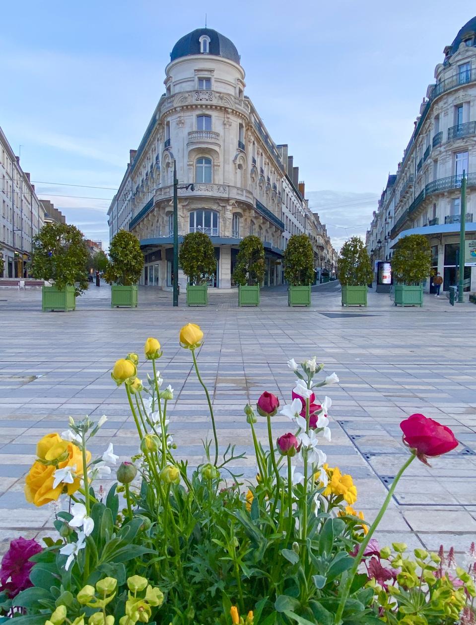 Place du Martroi and flowers in the city of Orléans