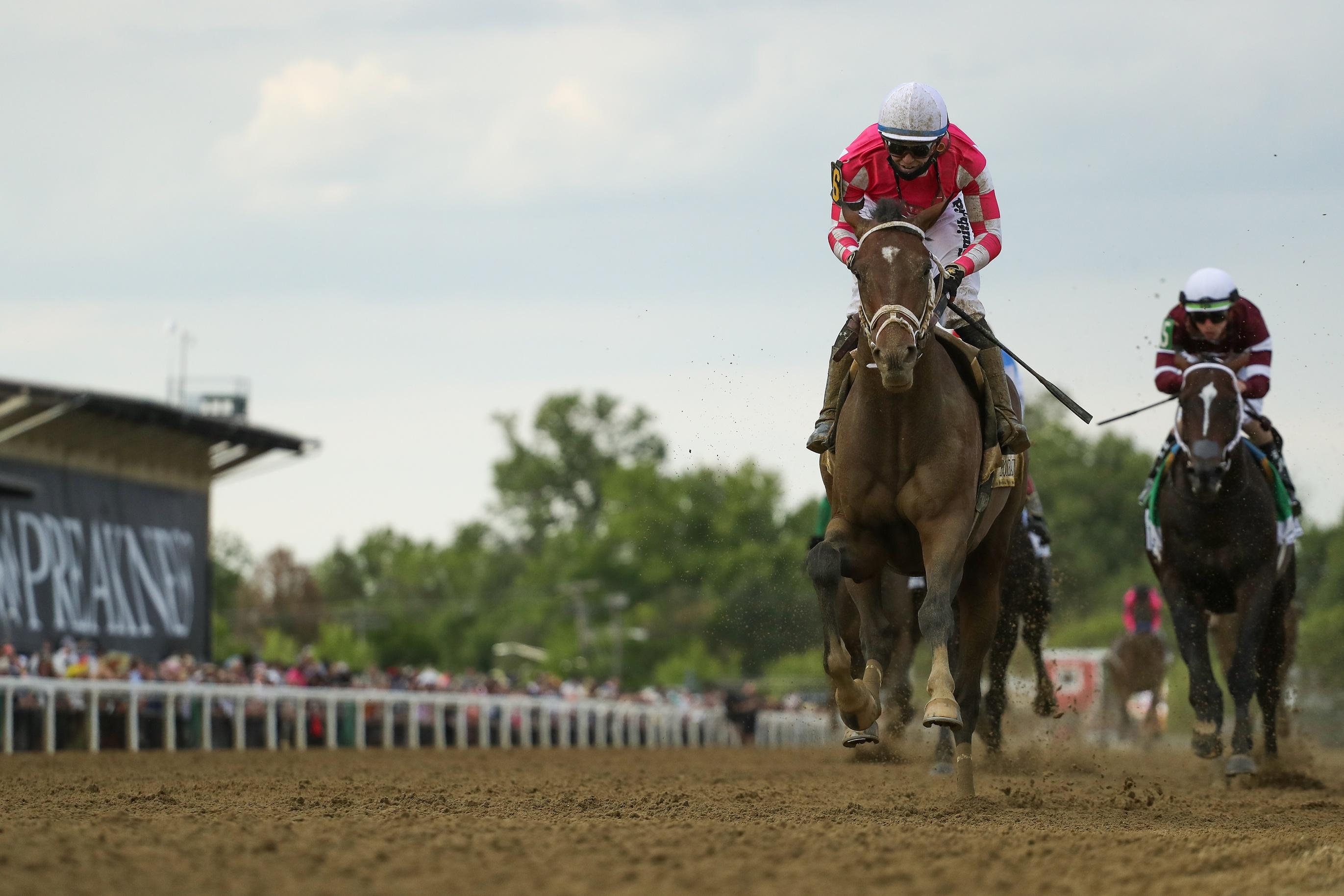 Preakness 2021: Rombauer Bests Midnight Bourbon By Two Lengths In The Stretch, Medina Spirit Shows - Vimarsana News