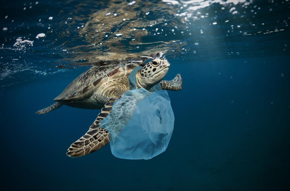 Underwater global problem with plastic rubbish