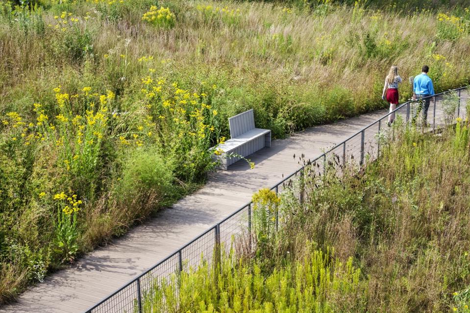 Lincoln Park Zoo, Nature Boardwalk.