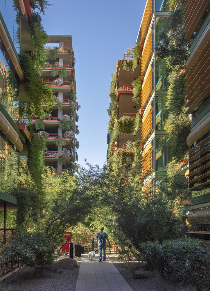 Well-Designed Outdoor Green Spaces Will Remain Popular In Post-Covid Residential Construction - Vimarsana News