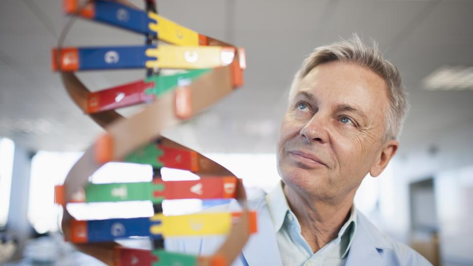 Caucasian scientist examining molecular model in lab