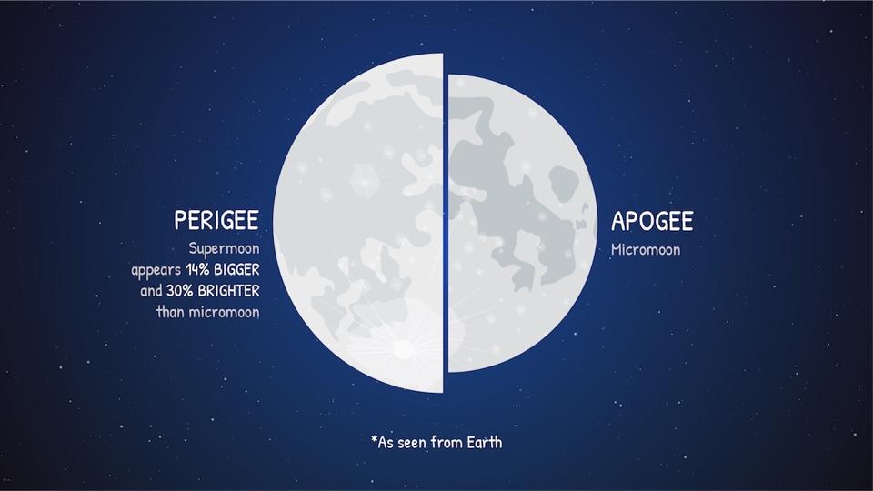 It's nearly impossible to compare the apparent size of the supermoon with a micromoon from memory, but when seen side-by-side as in this graphic, it becomes clear.