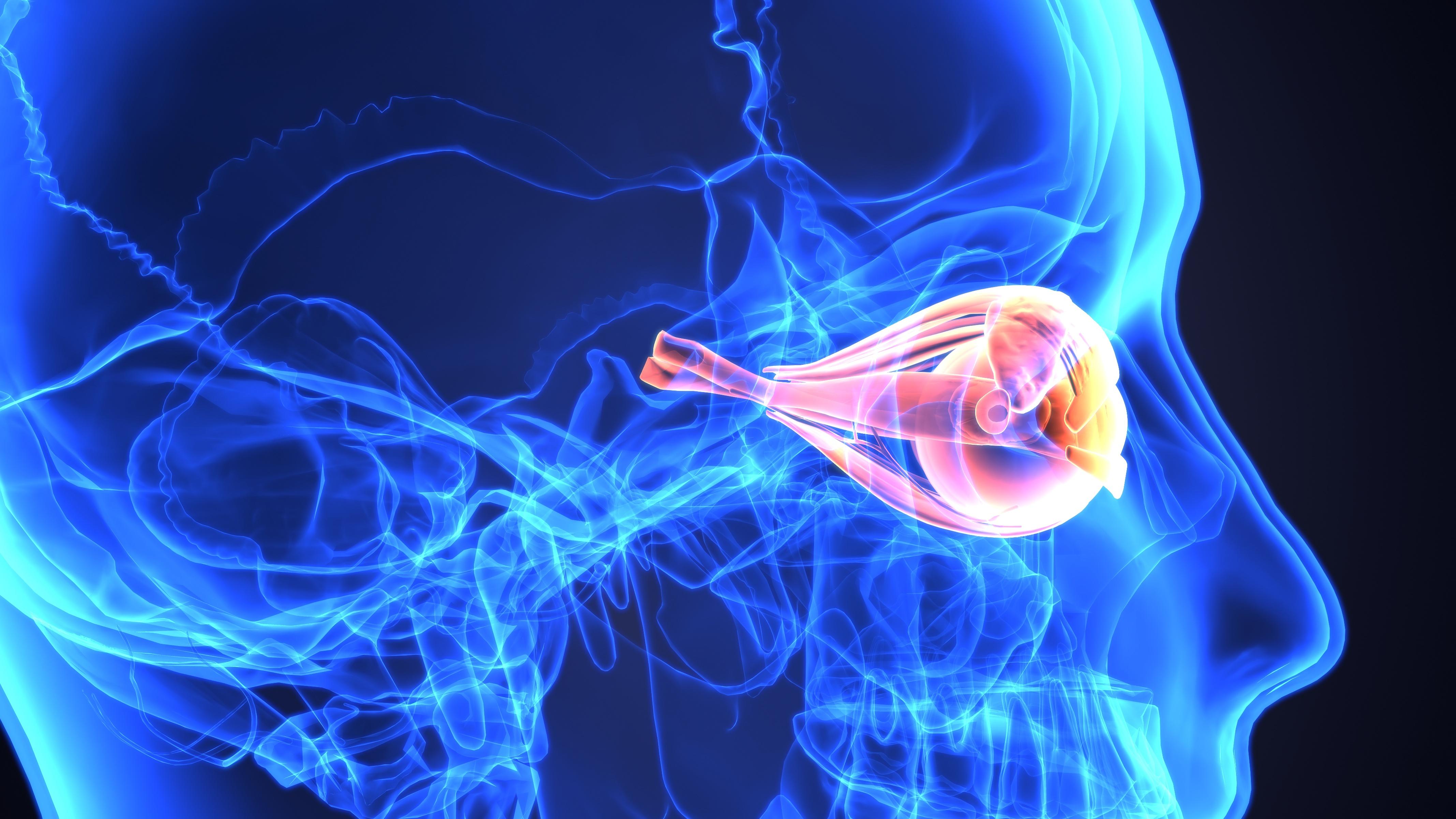 What Is 'Optogenetics'? Behind The Technology That's Bringing Sight To The Blind - Vimarsana News