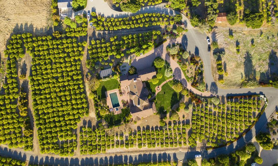 5 Acre Orchard Estate 1130 Via Del Rey Santa Barbara, CA, USA