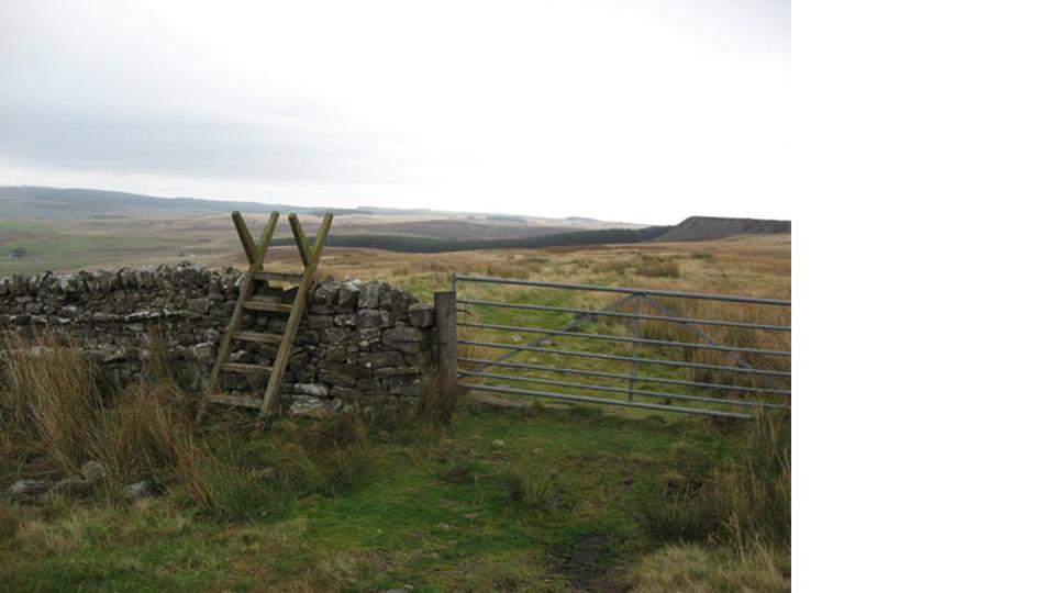 A pastureland in Wether Hill (Northumberland, UK) managed as a commons for more than 3000 years