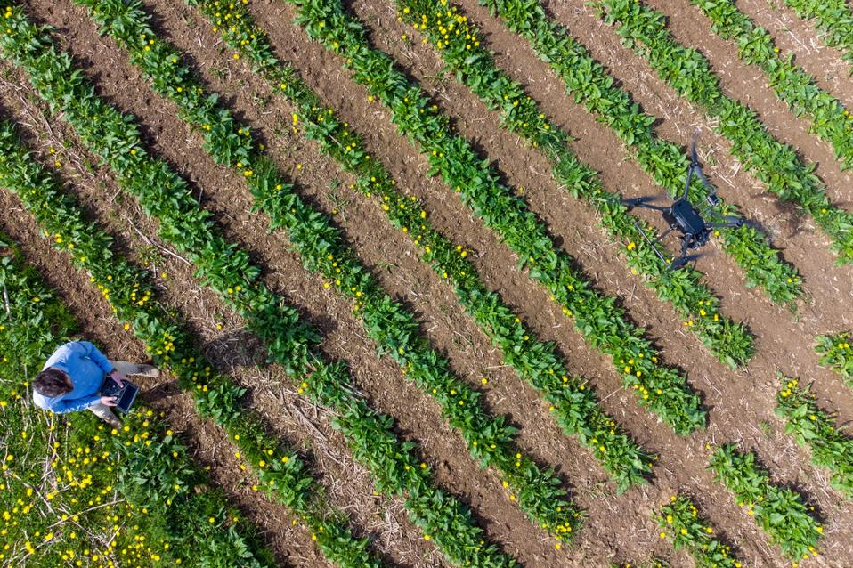 The future of agriculture