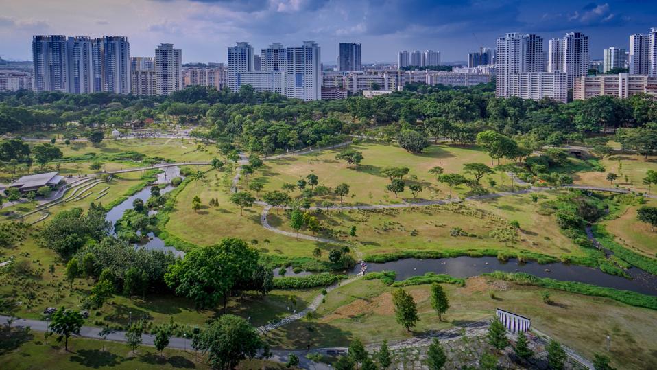 Bishan-Ang Mo Kio Park, Bishan, Singapore