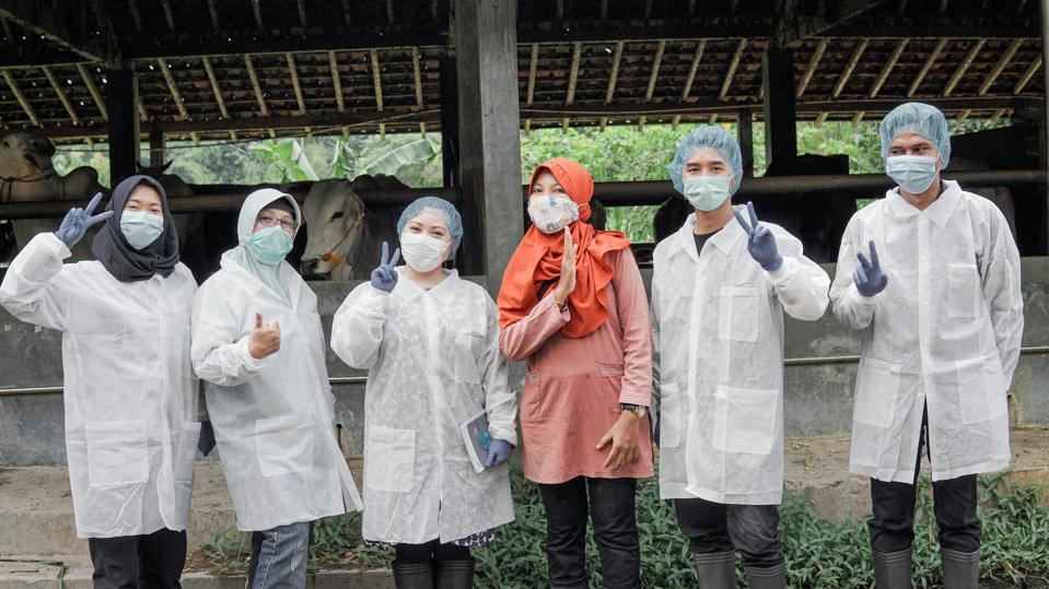 Indonesian researcher and entrepreneur Windi Muziasari (3rd from the left) at a site visit at a farm, where she was looking to detect antibiotic resistance.