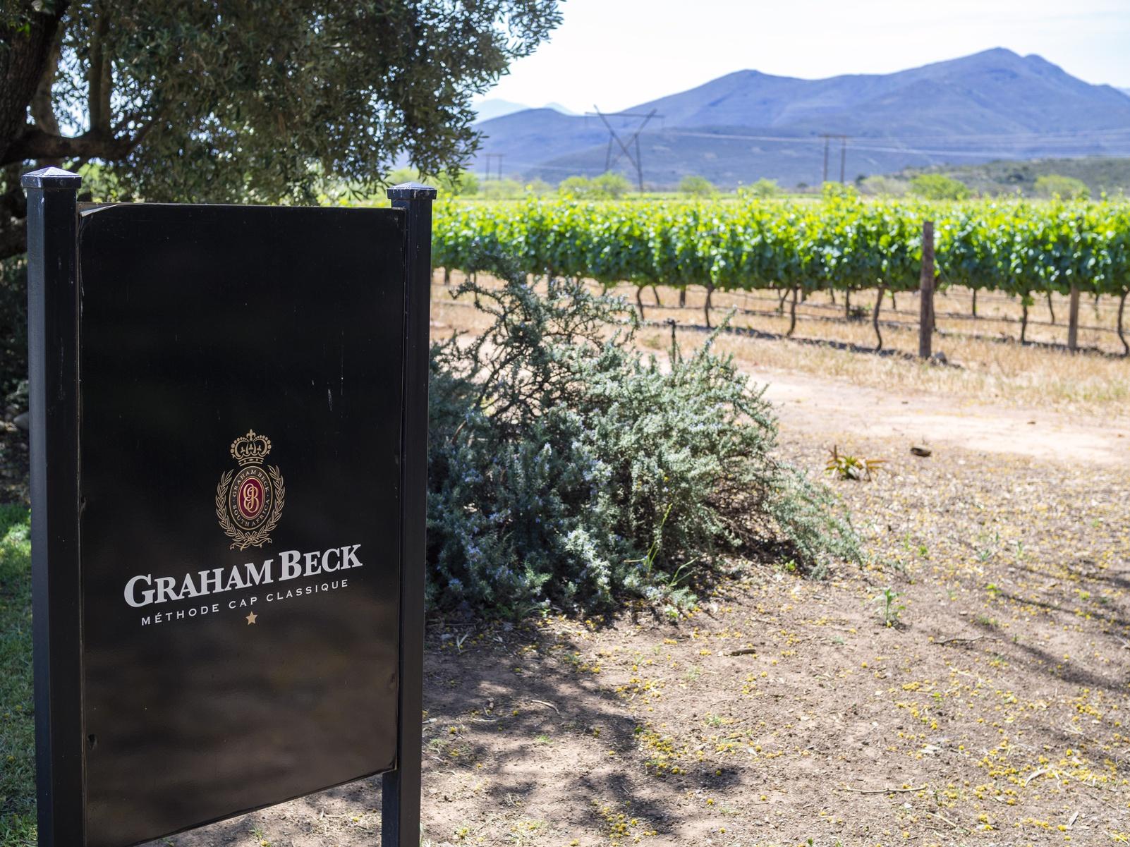 Explore Méthode Cap Classique, The Bubbly Wine From South Africa - Vimarsana News