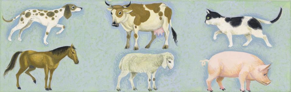 Dog, horse, cow, sheep, cat and pig, drawing