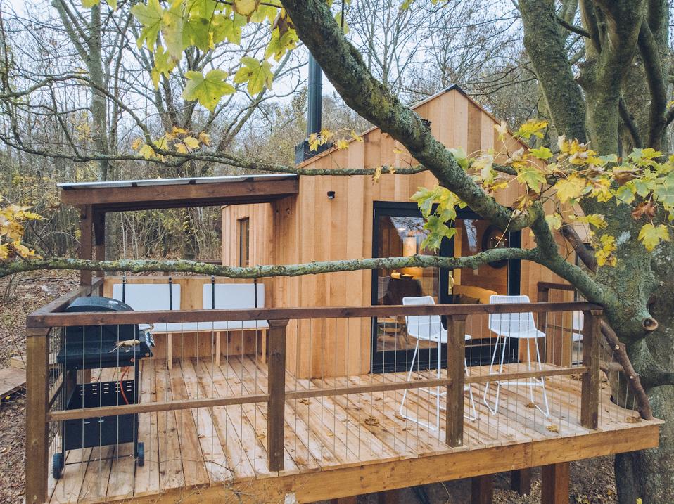 One of the treehouses overlooking the Black Chalk Cellar in Hampshire.