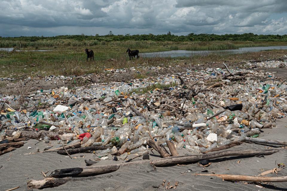Plastic debris on El Quetzalito Beach, Guatemala