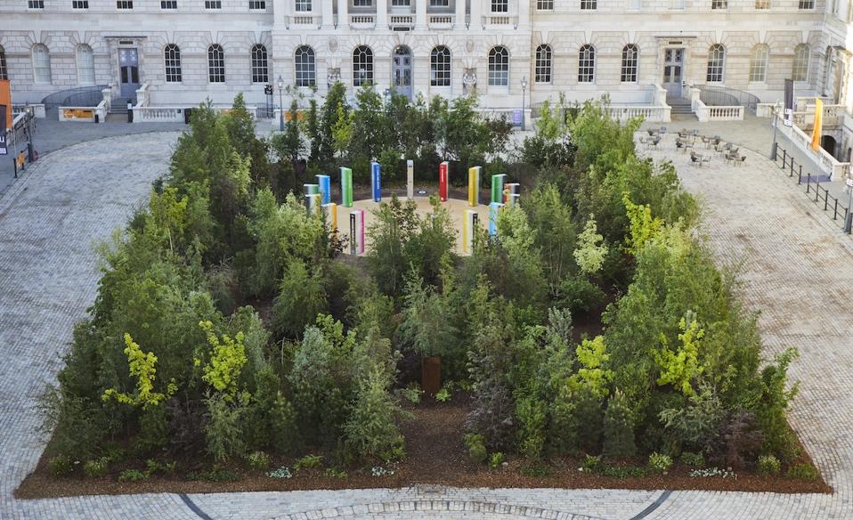 Forest of trees in courtyard