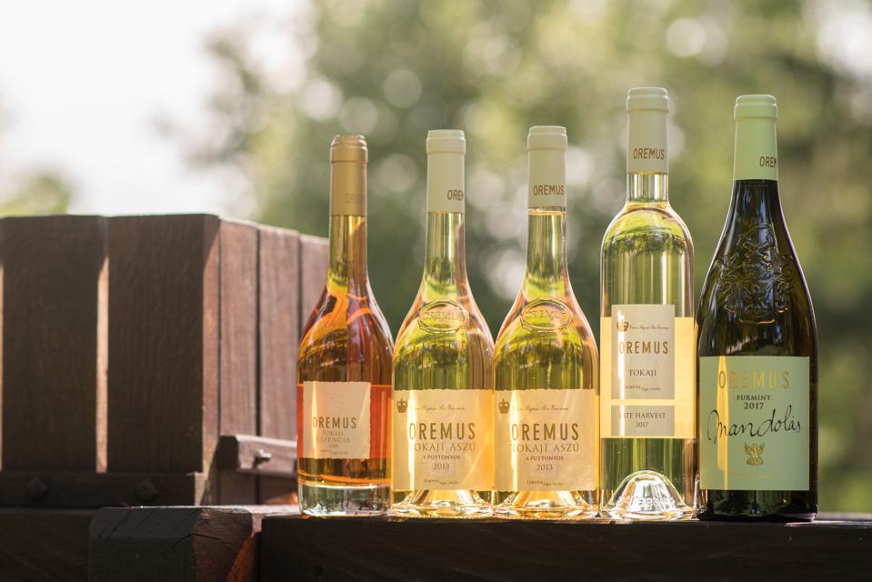 The Lineup of Vega Sicilia's Oremus Wines from Tokaj, Hungary