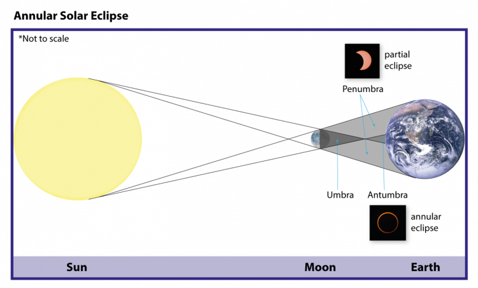 How an annular eclipse appears depending on whether your location is in the antumbra or penumbra.