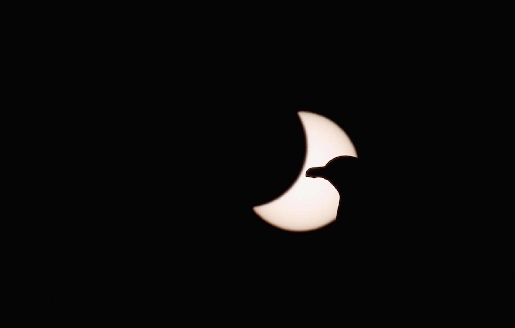 Solar Eclipse: Exactly What You'll See From The U.K. And 29 European Cities This Thursday - Vimarsana News