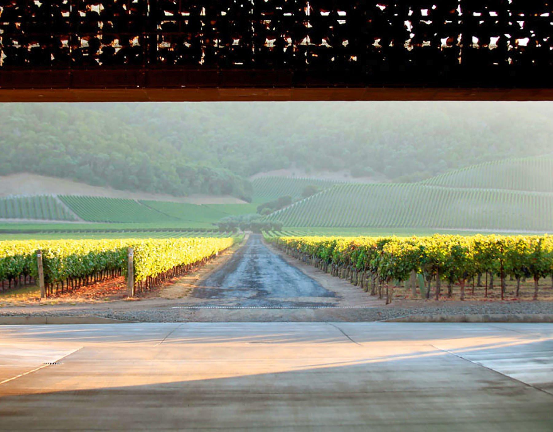 Exploring The Cabernet Sauvignon Of Napa Valley, Part Six - Vimarsana News