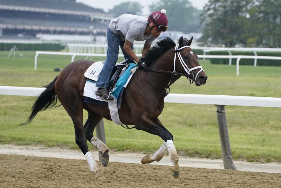 Belmont Horse Racing