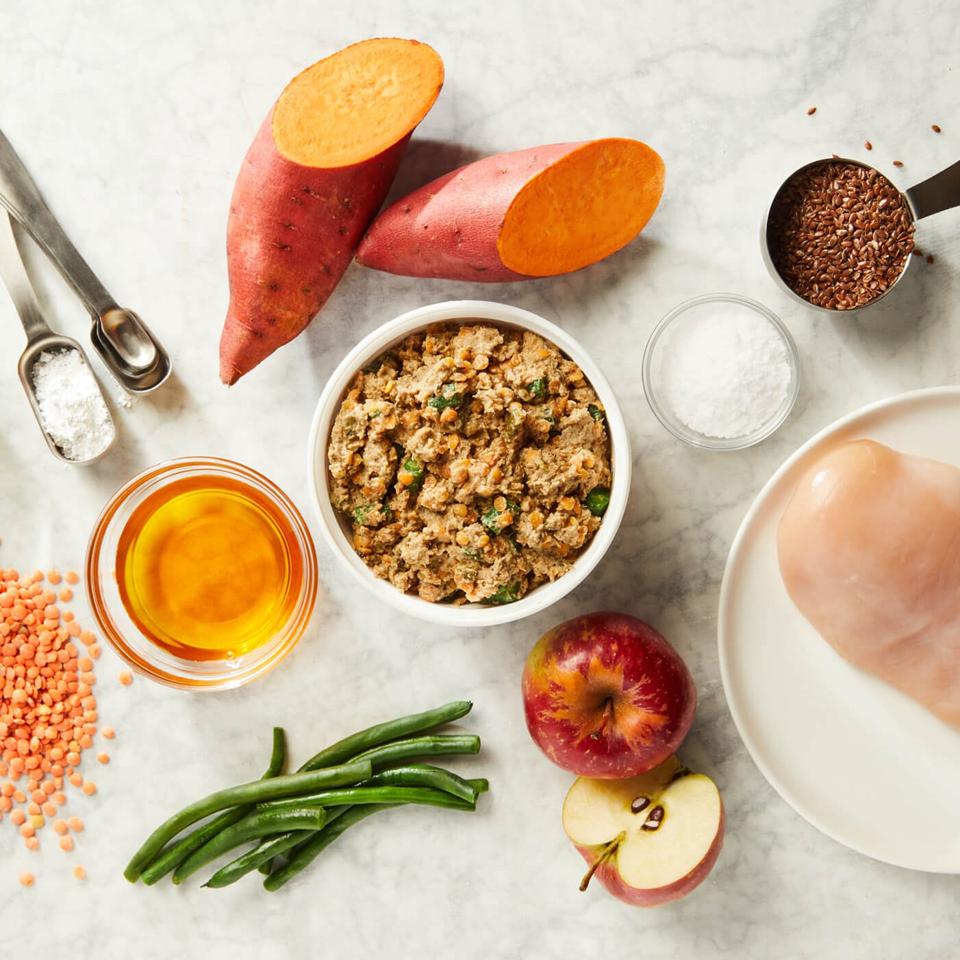 fresh dog food: PetPlate