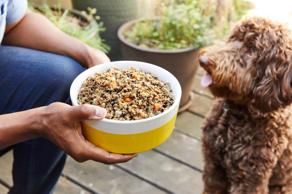 Fresh Dog Food: PetPlate