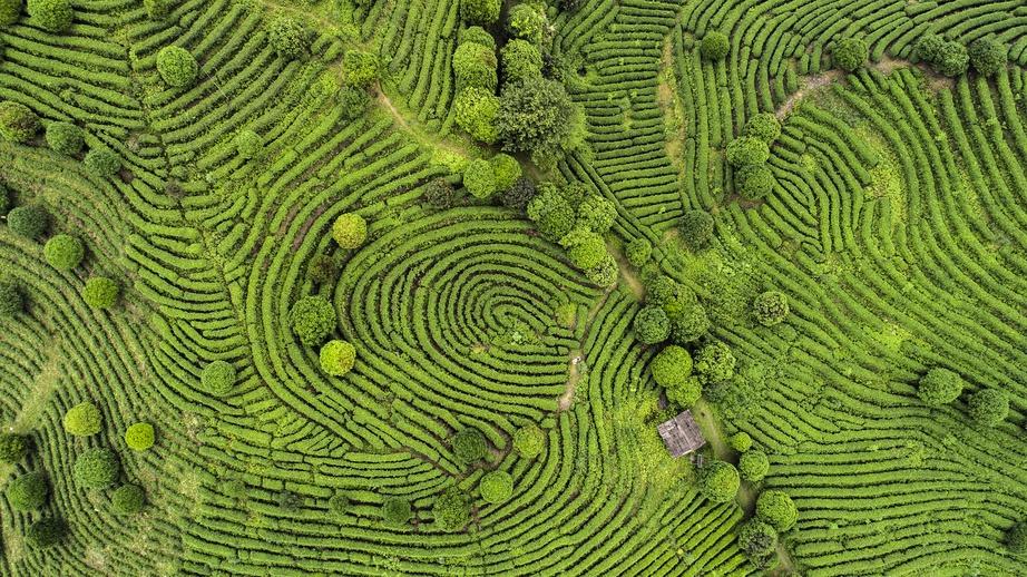 Sustainability And The C-Suite - Vimarsana News