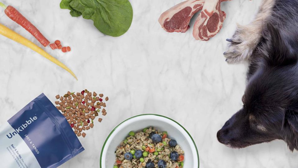fresh dog food: Spot and Tango