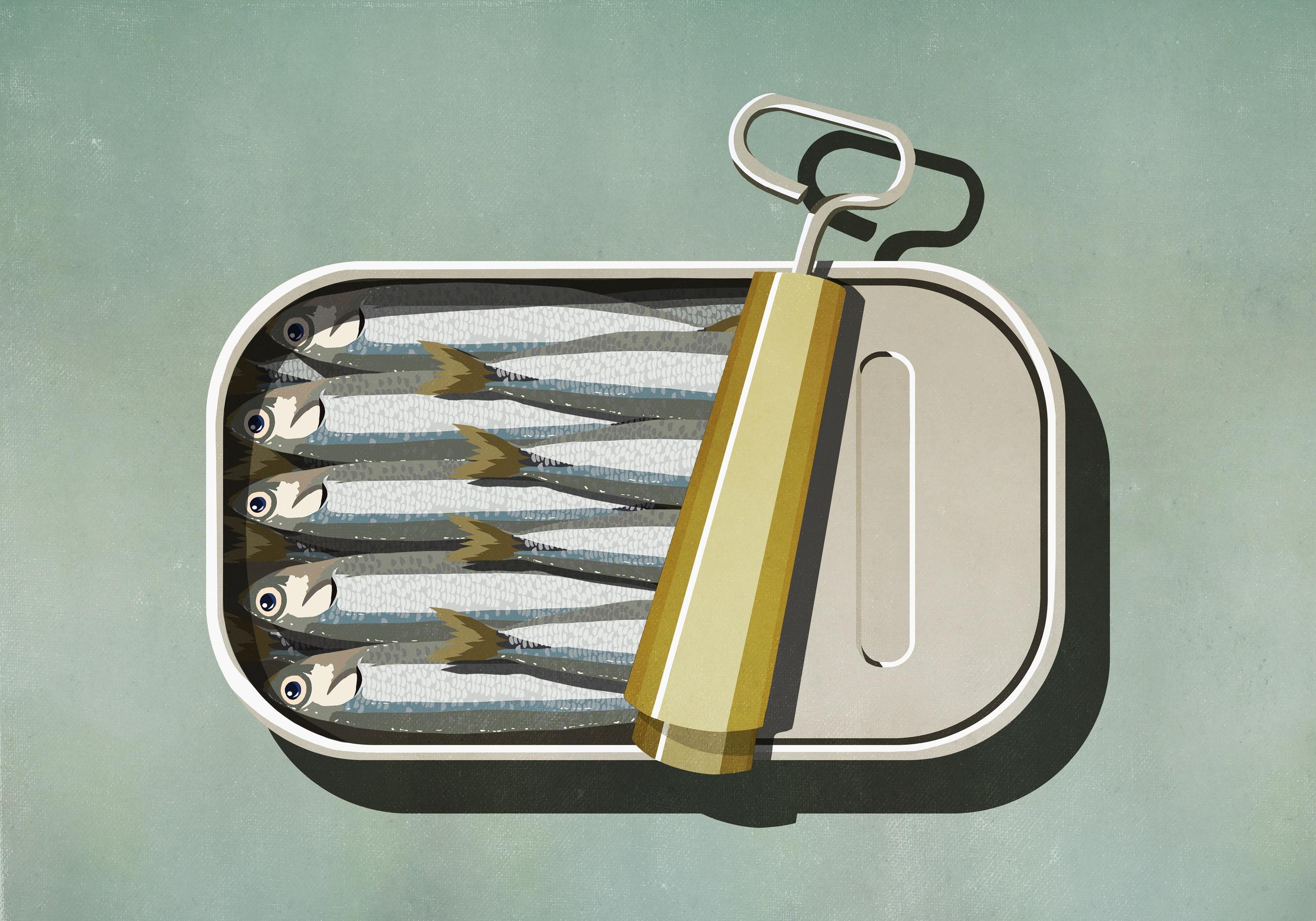 There's Plenty Of Fish-Cell Opportunity For Cellular Agriculture And Biomedicine - Vimarsana News