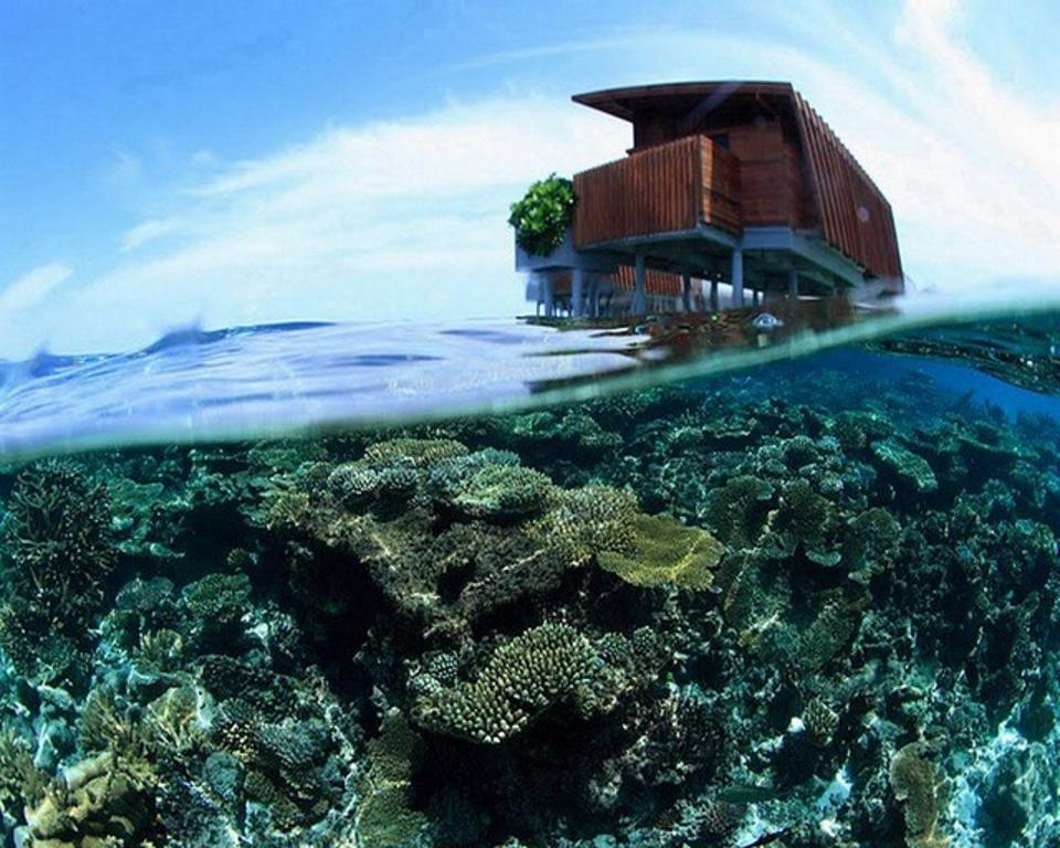 For Hyatt's ‘Explor-cation’ campaign, The Park Hyatt Maldives Hadahaa will offer guided night snorkeling to guests.