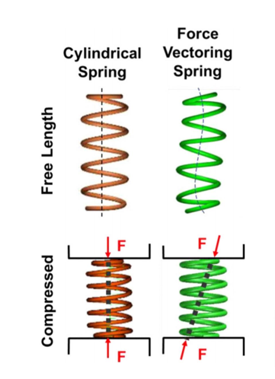 Ford force vectoring coil springs