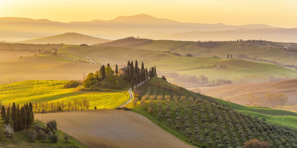 Italy, Tuscany, San Quirico D'Orcia, Podere Belvedere, Green hills, olive gardens and small vineyard under rays of morning sun
