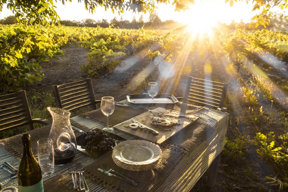 A table in the middle of a vineyard in Sonoma, California.