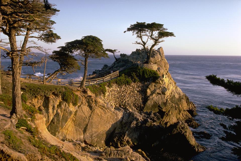 The Lone Cypress on 17-Mile Drive in Pebble Beach