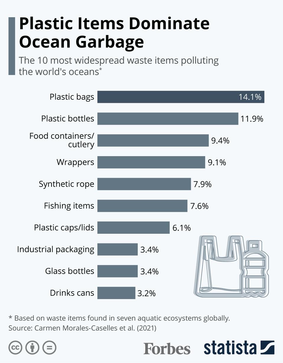 Plastic Items Dominate Ocean Garbage