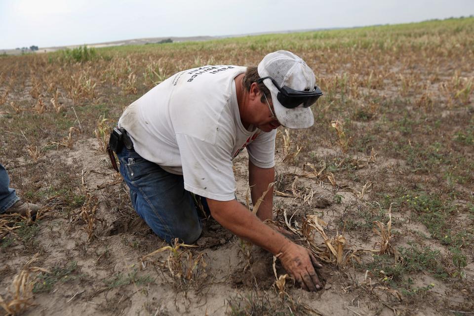 Historic Drought Cripples Farms And Ranches In American West