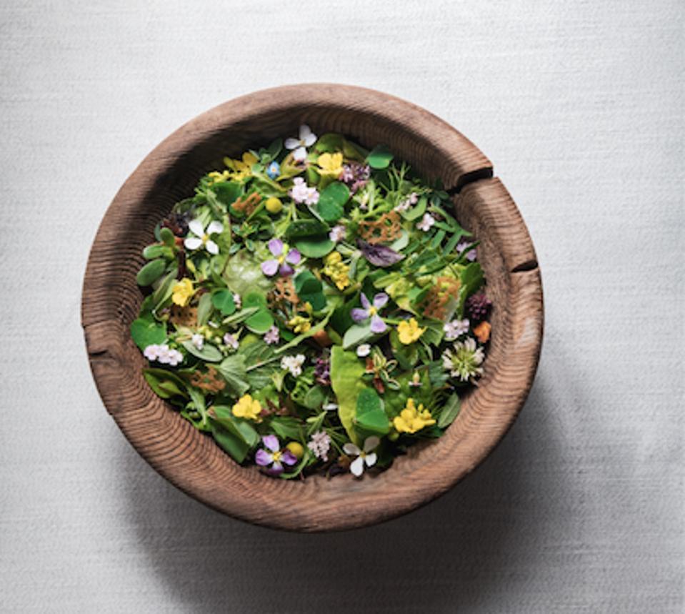Insalata di erbe di montagna prodotta a St. Hubertus.