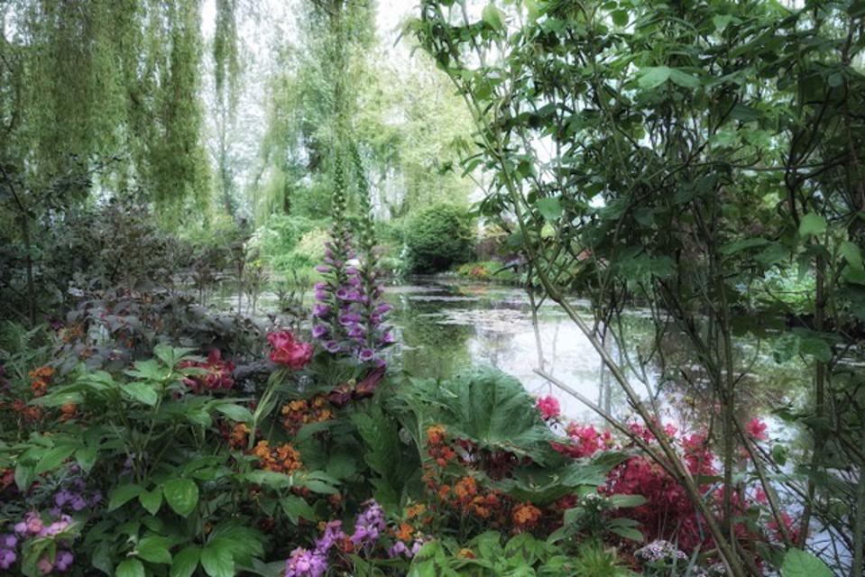 Monet's garden at Giverny.