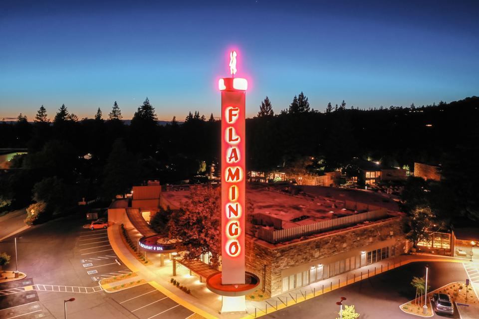 A Icon Bounces Back: The Newly Remodeled Flamingo Resort Is Ready To ...