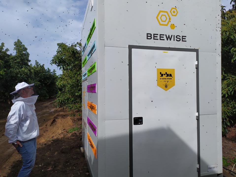Here Is A Fully Autonomous AI-Powered Beehive That…