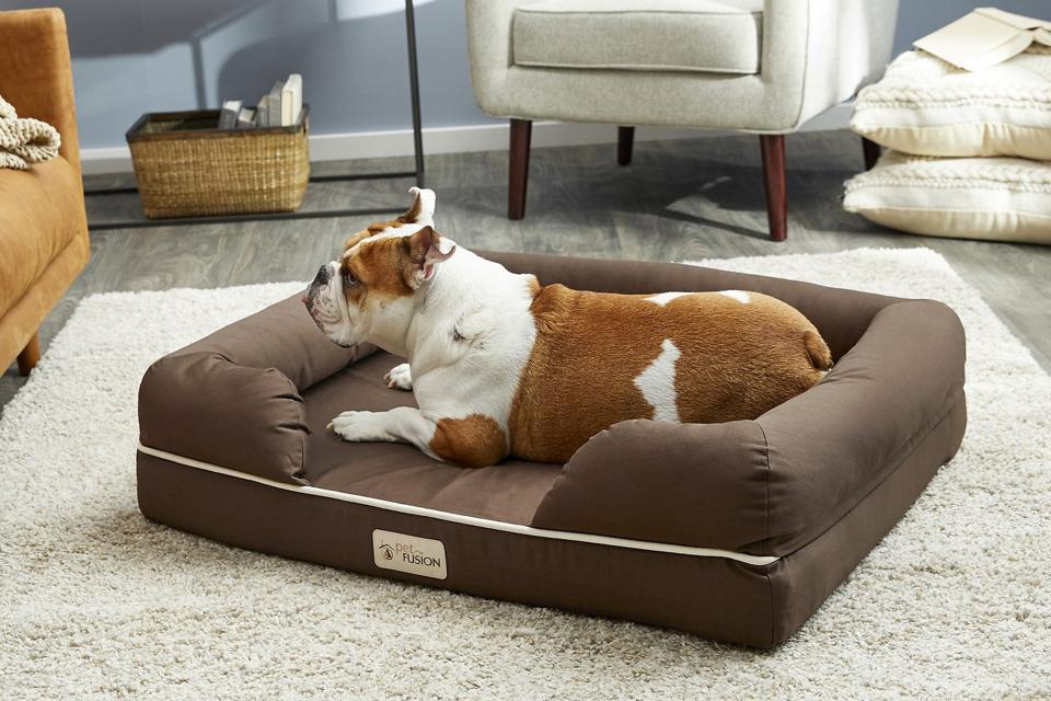 14 Of The Best Dog Beds 14 Of The Best Dog Beds, What Kind Of Sofa Material Is Best For Dogs