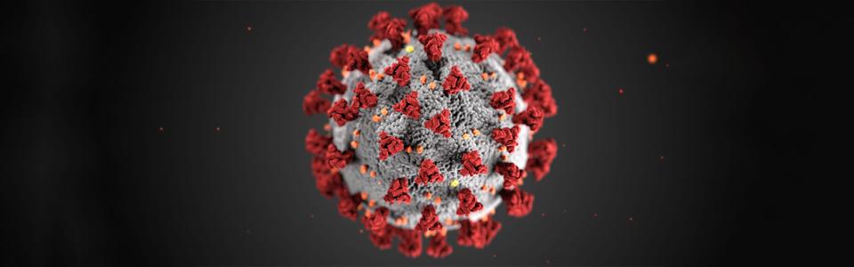 Coronavirus