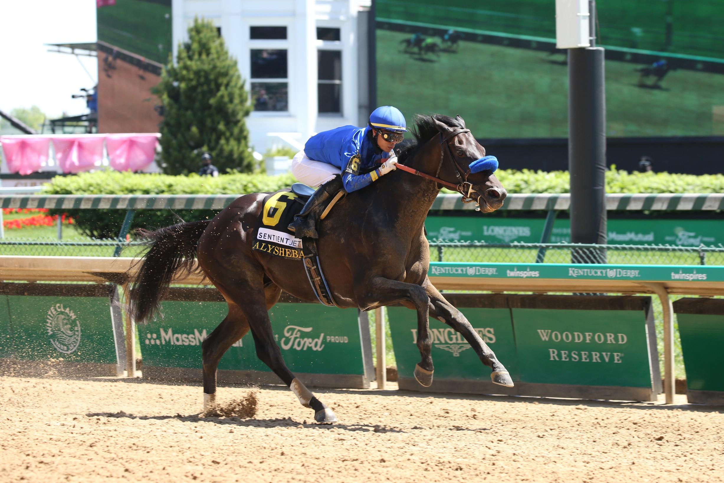 Whitney Stakes Day Races, Odds And Best Bets - Vimarsana News