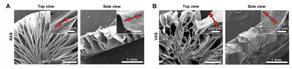 This figure shows the top view and side view of the RAS (horizontal) and VAS (vertical) positioning of fibers.