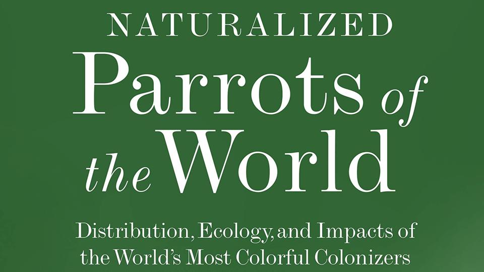 Ovi39qcg Cpqjm Full Moon Bar Avon Nc Entertainment Calendar 2022