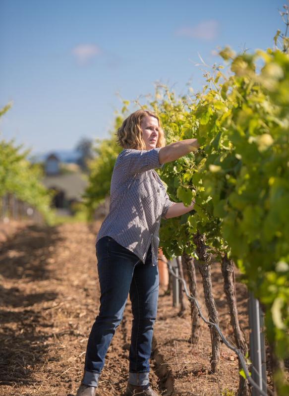 Chris Kajani in the Bouchaine vineyards in Carneros, Napa Valley, California