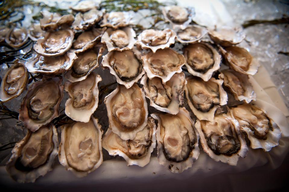 Oyster Bar 100th Anniversary